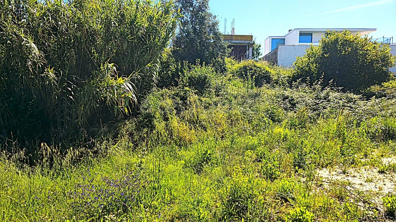 Terreno para Venda em Torres Novas (Santa Maria, Salvador e Santiago) Foto 3