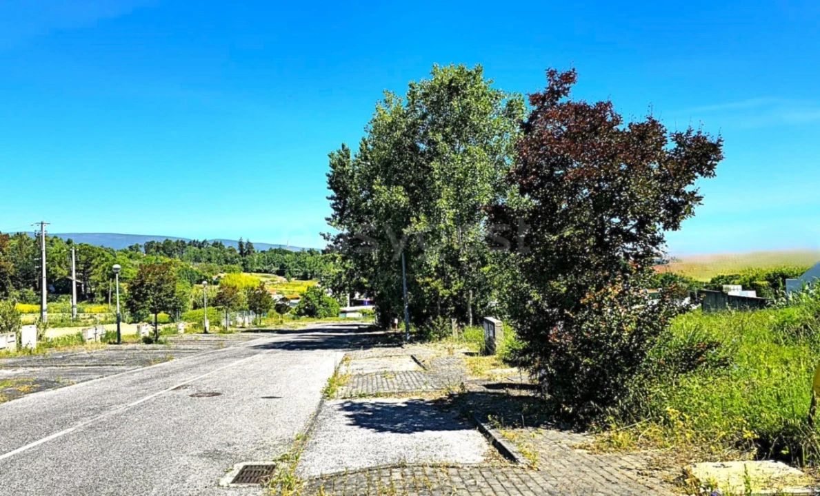 Terreno para Venda em Torres Novas (Santa Maria, Salvador e Santiago) Foto 4