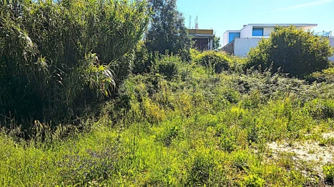 Terreno para Venda em Torres Novas (Santa Maria, Salvador e Santiago)