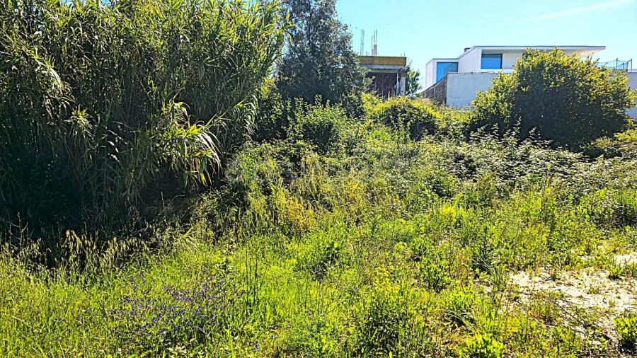 Terreno para Venda em Torres Novas (Santa Maria, Salvador e Santiago) Foto 3