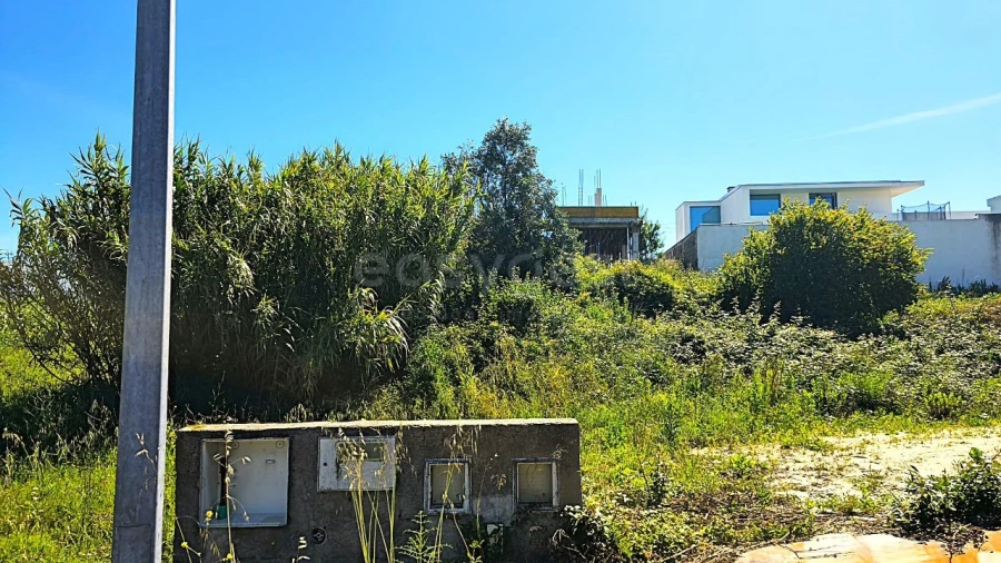 Terreno para Venda em Torres Novas (Santa Maria, Salvador e Santiago) Foto 5