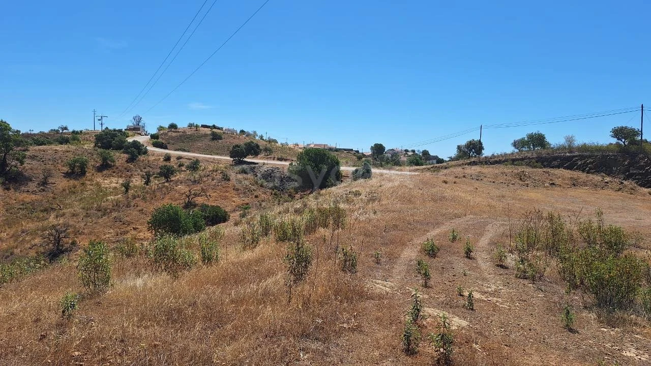 Terreno Agricola ou Rústico para Venda em Azinhal Foto 1