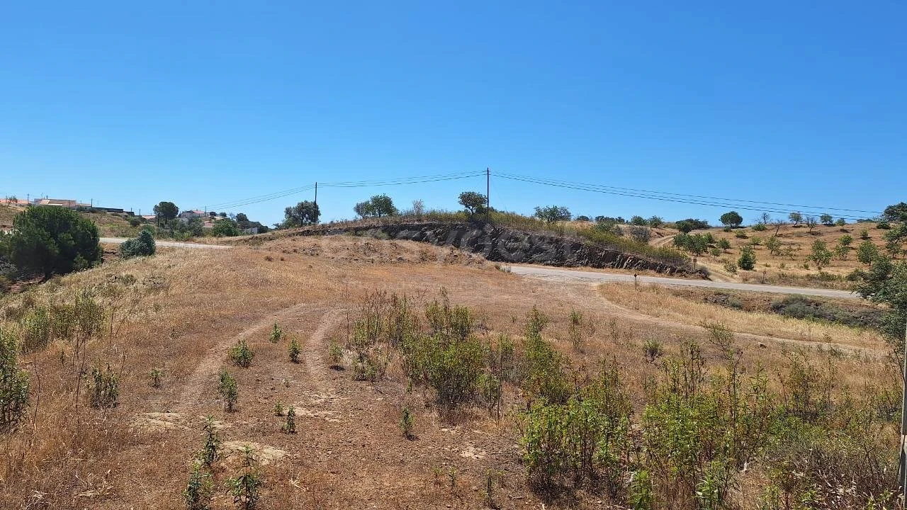 Terreno Agricola ou Rústico para Venda em Azinhal Foto 3