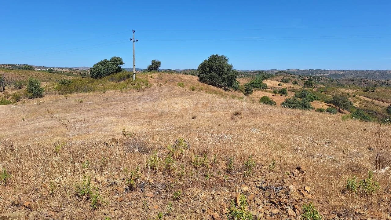 Terreno Agricola ou Rústico para Venda em Azinhal Foto 5
