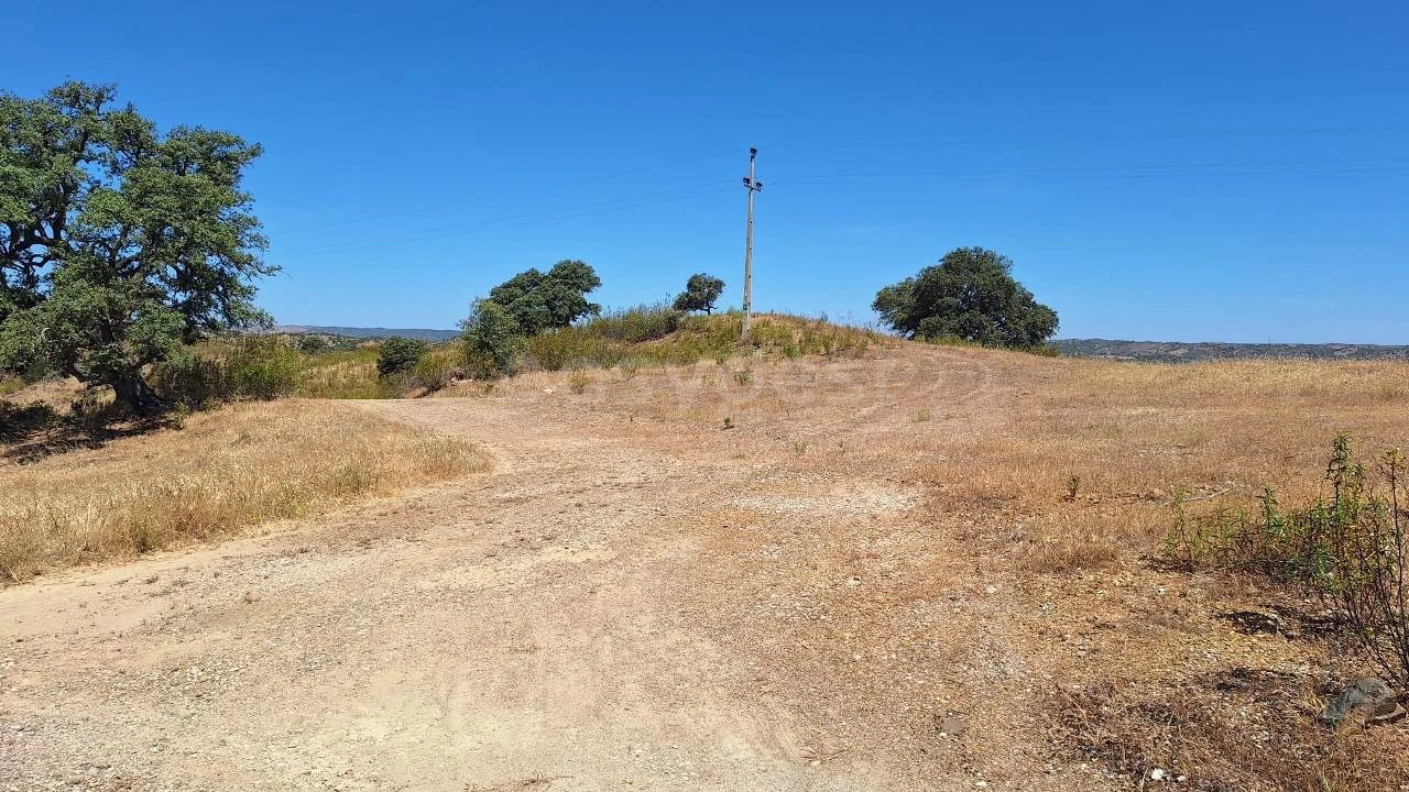 Terreno Agricola ou Rústico para Venda em Azinhal Foto 9
