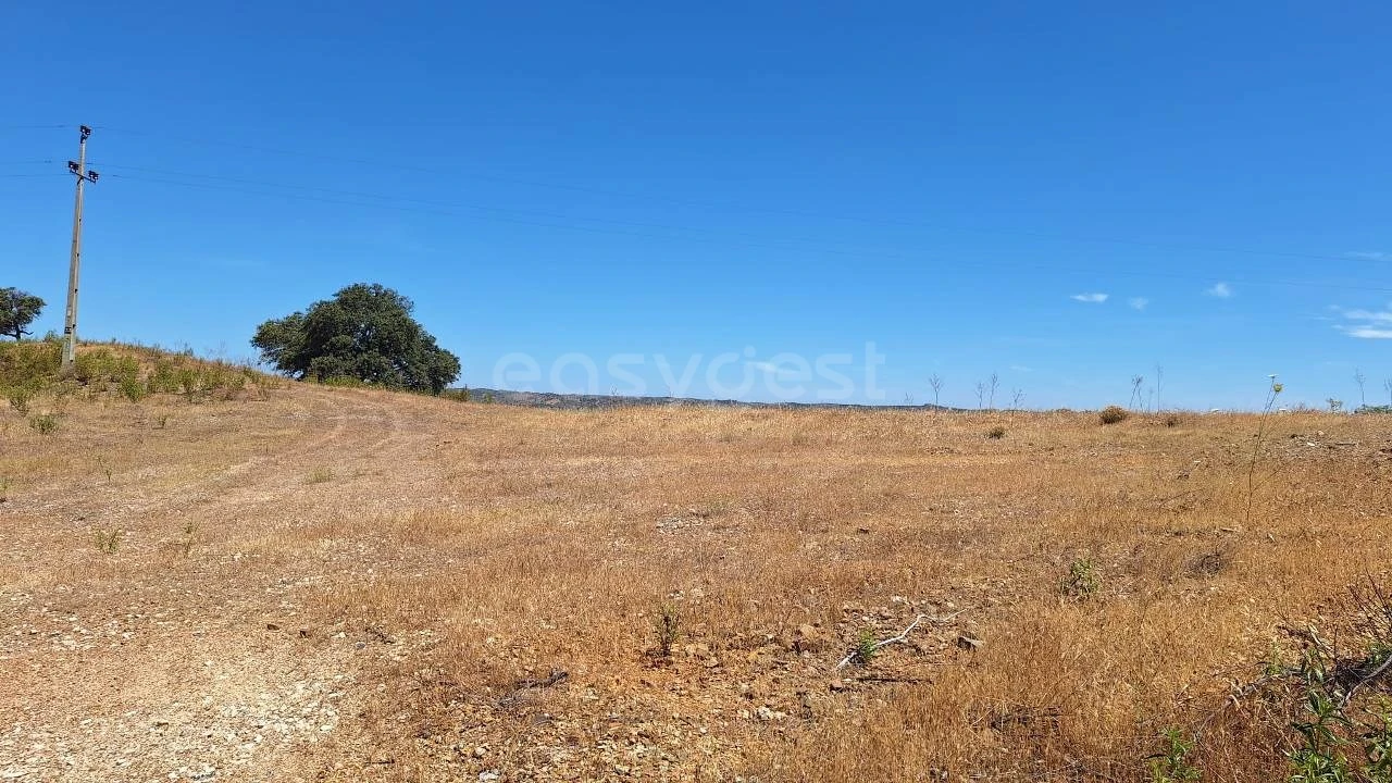 Terreno Agricola ou Rústico para Venda em Azinhal Foto 10