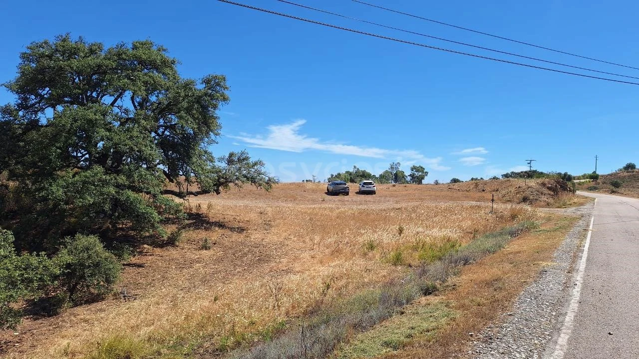 Terreno Agricola ou Rústico para Venda em Azinhal Foto 12