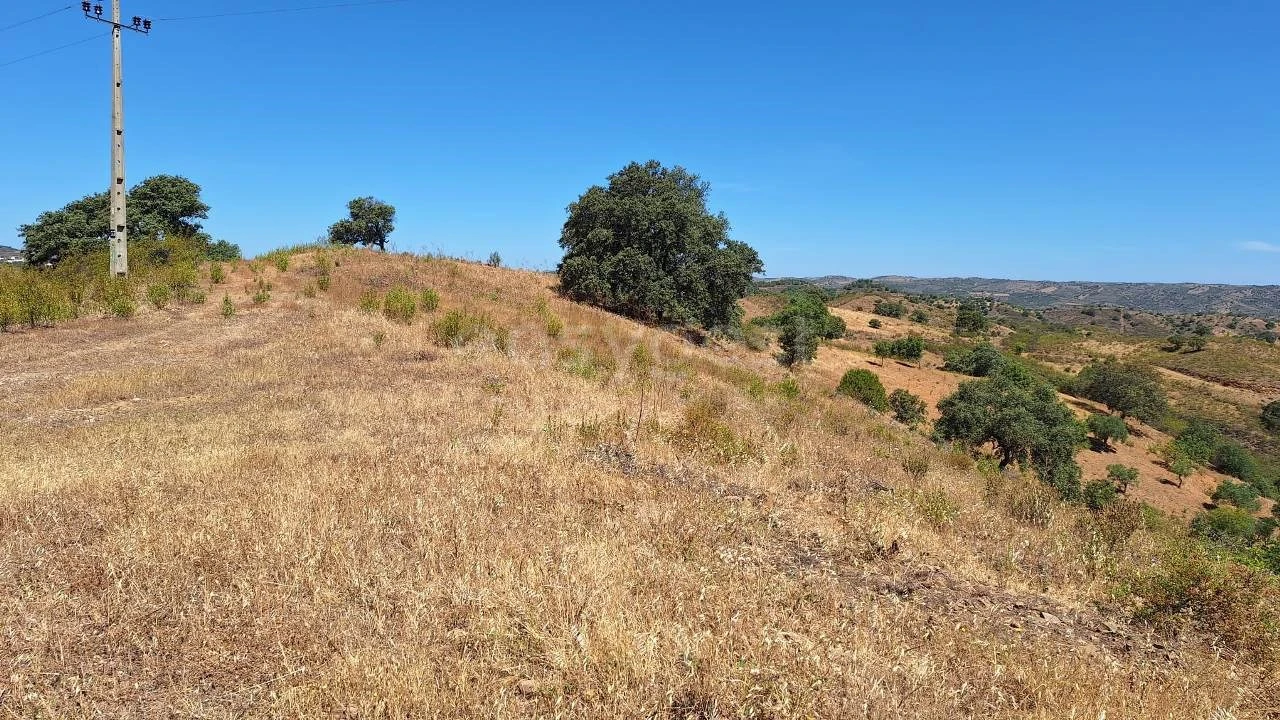 Terreno Agricola ou Rústico para Venda em Azinhal Foto 15
