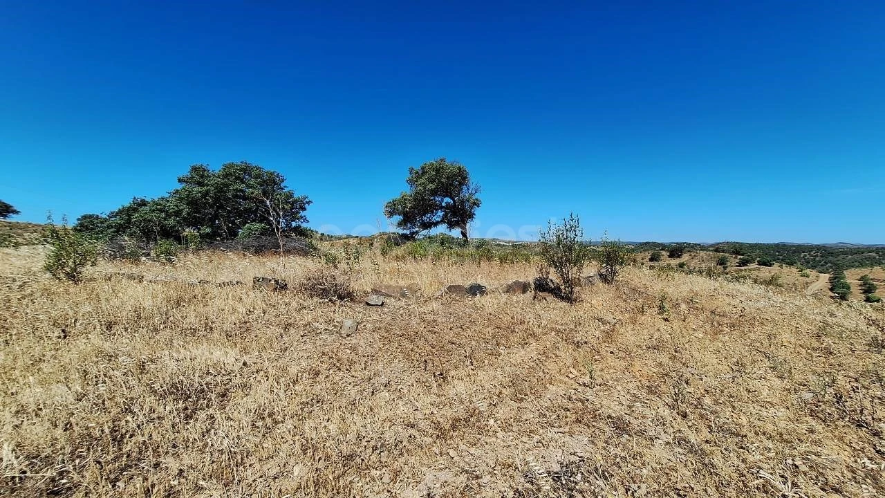 Terreno Agricola ou Rústico para Venda em Azinhal Foto 17