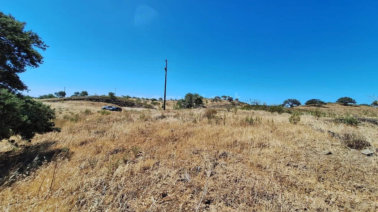 Terreno Agricola ou Rústico para Venda em Azinhal Foto 18