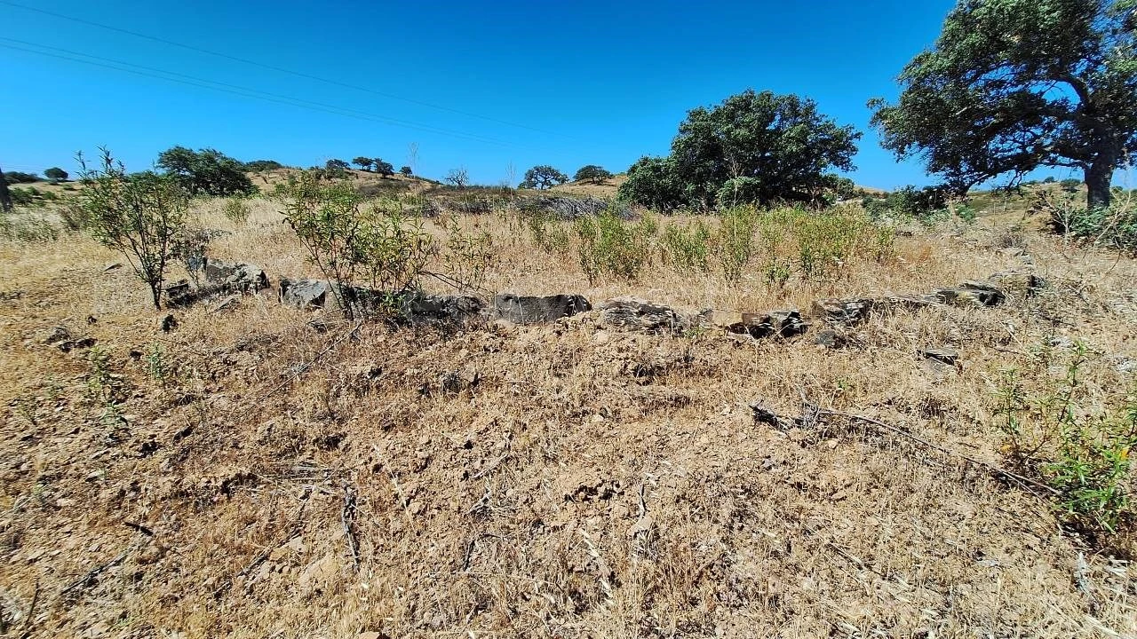 Terreno Agricola ou Rústico para Venda em Azinhal Foto 20