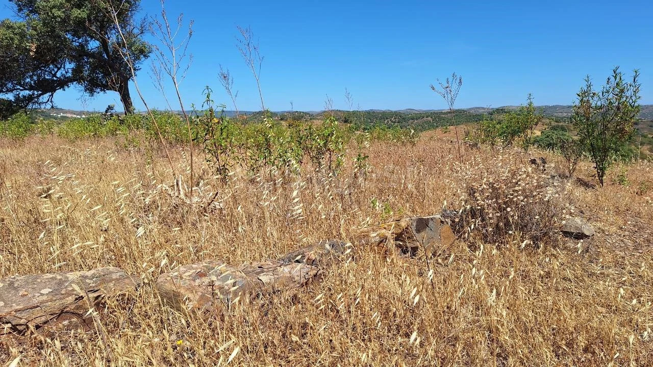 Terreno Agricola ou Rústico para Venda em Azinhal Foto 23
