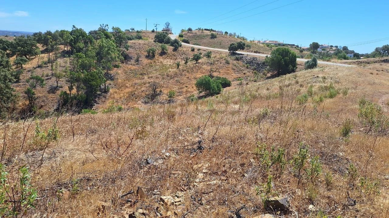 Terreno Agricola ou Rústico para Venda em Azinhal Foto 24