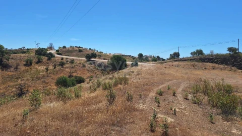 Terreno Agricola ou Rústico para Venda em Azinhal