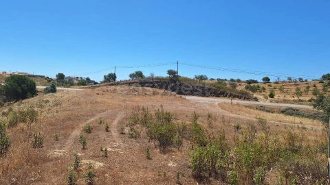 Terreno Agricola ou Rústico para Venda em Azinhal
