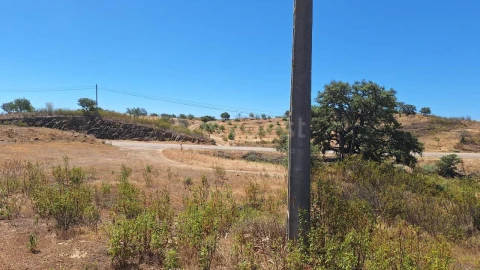 Terreno Agricola ou Rústico para Venda em Azinhal
