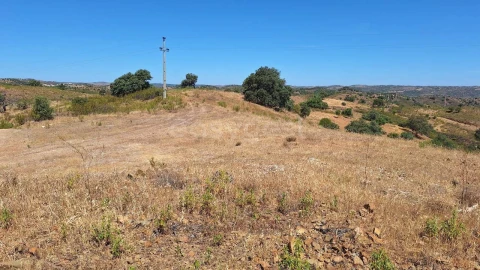 Terreno Agricola ou Rústico para Venda em Azinhal