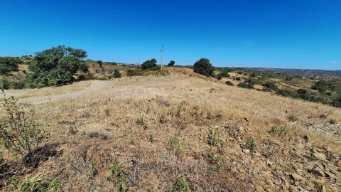 Terreno Agricola ou Rústico para Venda em Azinhal