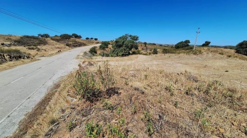 Terreno Agricola ou Rústico para Venda em Azinhal