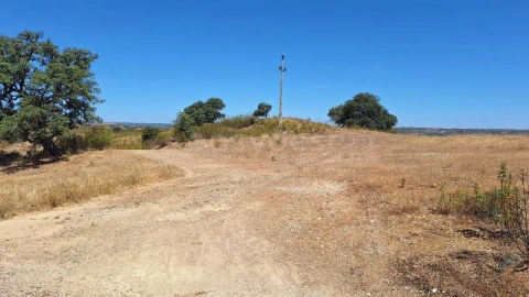 Terreno Agricola ou Rústico para Venda em Azinhal
