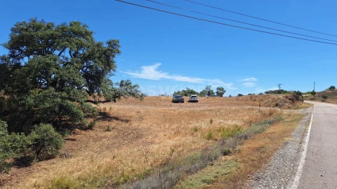 Terreno Agricola ou Rústico para Venda em Azinhal