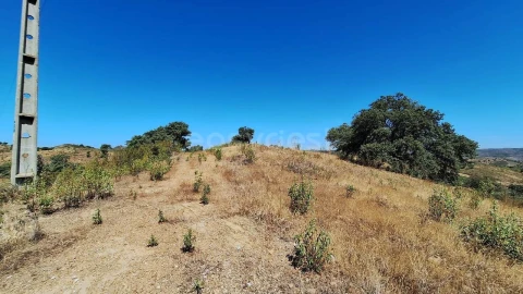 Terreno Agricola ou Rústico para Venda em Azinhal