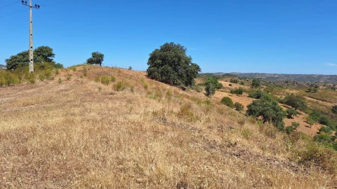 Terreno Agricola ou Rústico para Venda em Azinhal