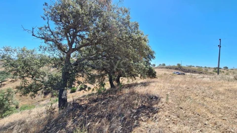 Terreno Agricola ou Rústico para Venda em Azinhal