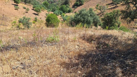 Terreno Agricola ou Rústico para Venda em Azinhal