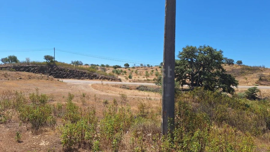 Terreno Agricola ou Rústico para Venda em Azinhal Foto 4