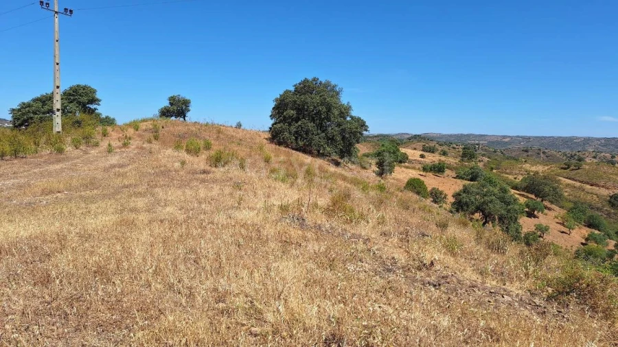 Terreno Agricola ou Rústico para Venda em Azinhal Foto 15