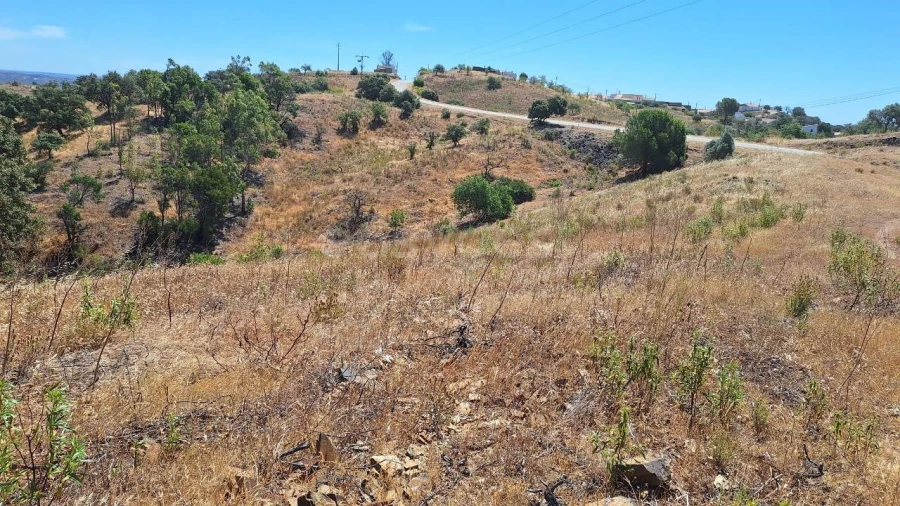 Terreno Agricola ou Rústico para Venda em Azinhal Foto 24