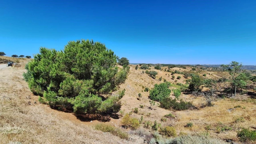 Terreno Agricola ou Rústico para Venda em Azinhal Foto 26