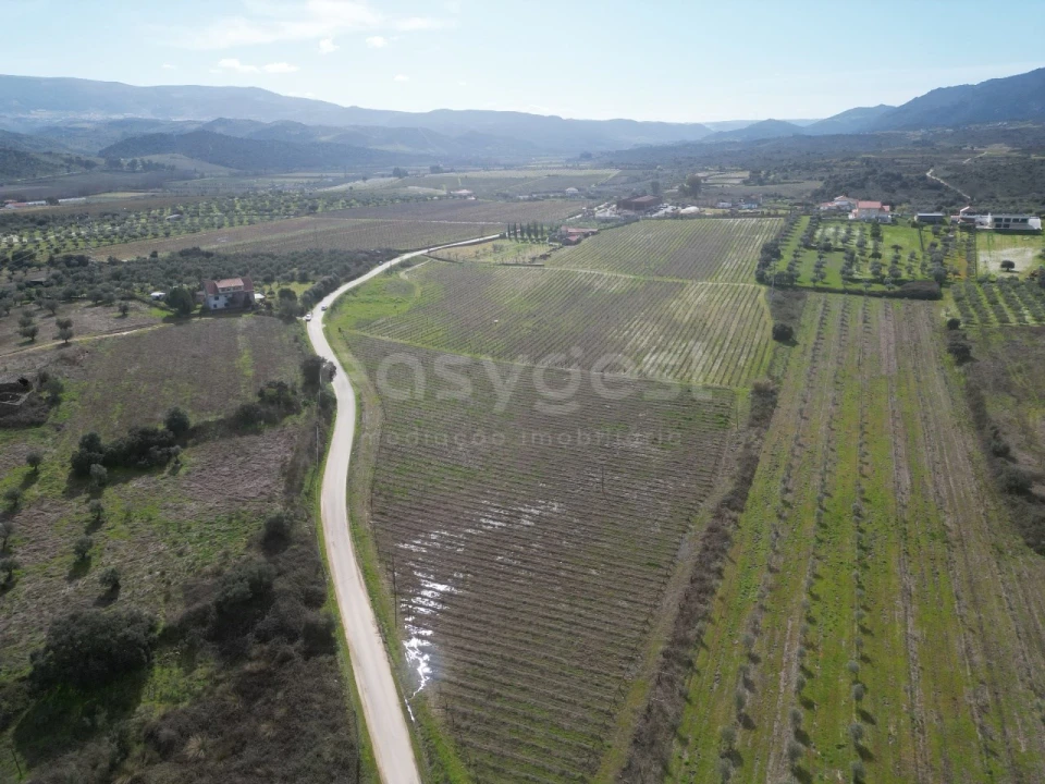 Terreno para Venda em Horta da Vilariça Foto 1
