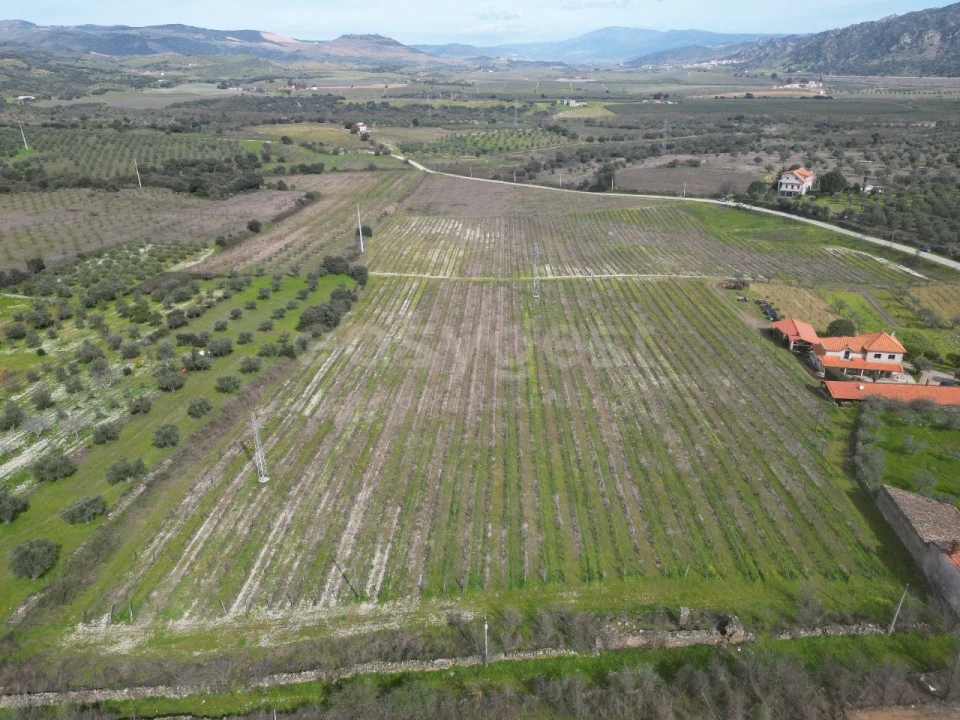 Terreno para Venda em Horta da Vilariça Foto 3