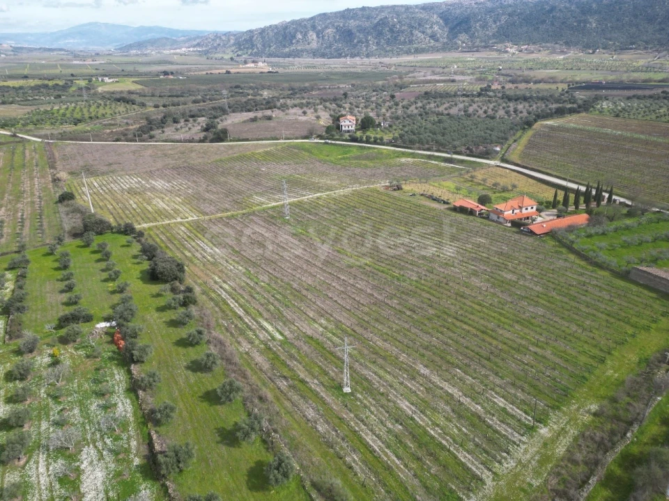 Terreno para Venda em Horta da Vilariça Foto 4