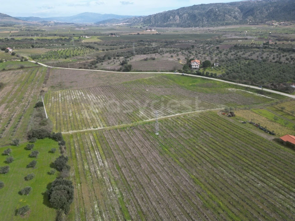 Terreno para Venda em Horta da Vilariça Foto 5
