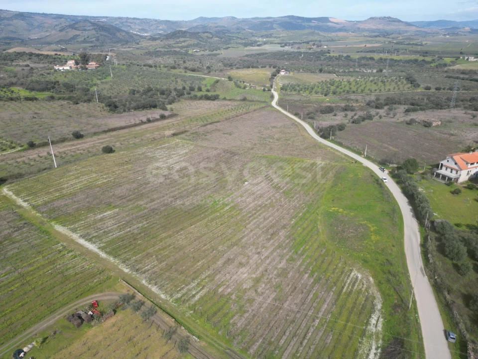 Terreno para Venda em Horta da Vilariça Foto 6