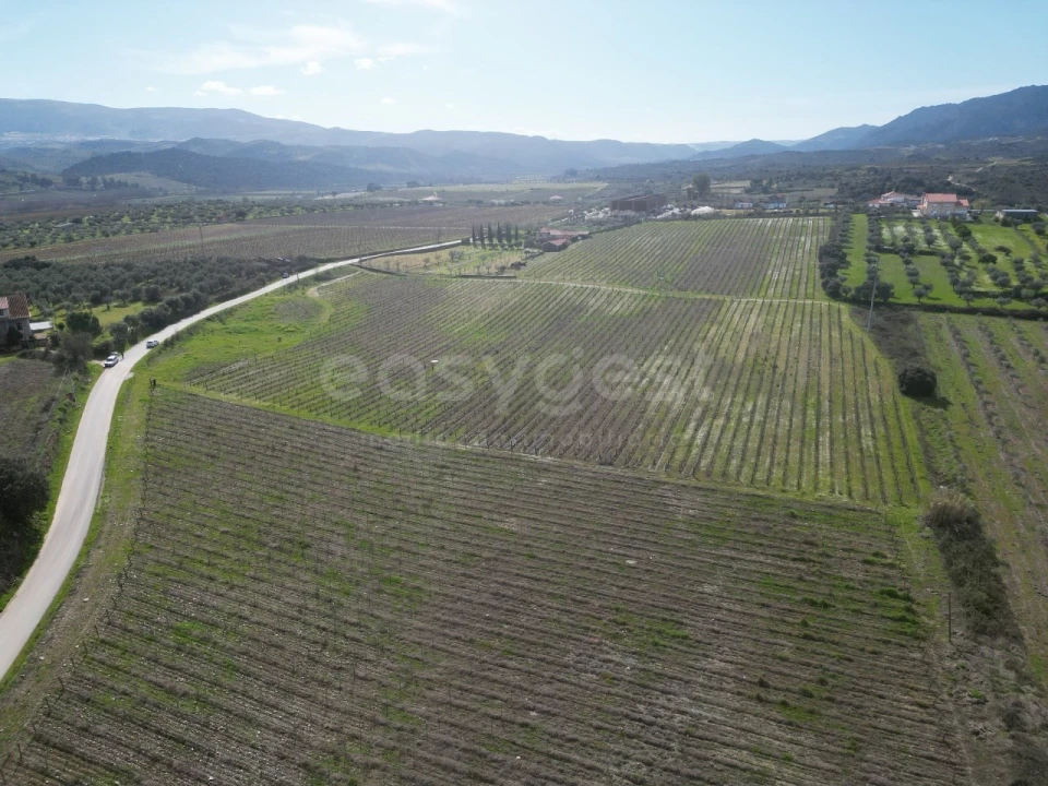 Terreno para Venda em Horta da Vilariça Foto 8