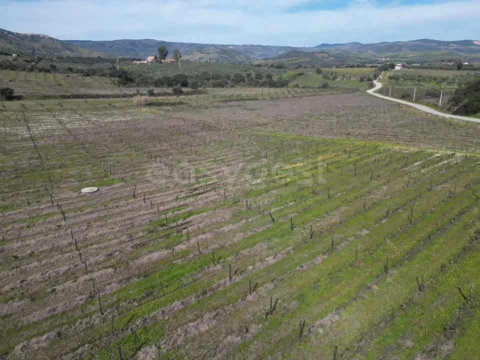 Terreno para Venda em Horta da Vilariça Foto 11