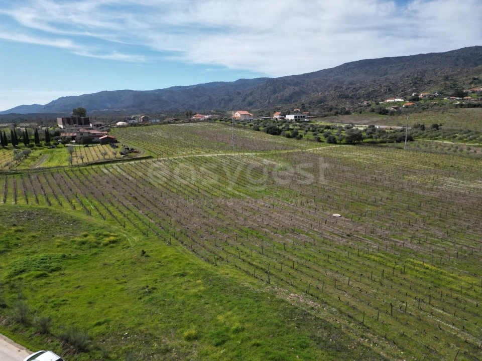 Terreno para Venda em Horta da Vilariça Foto 12