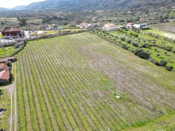 Terreno para Venda em Horta da Vilariça