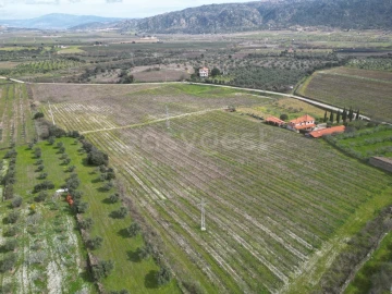 Terreno para Venda em Horta da Vilariça