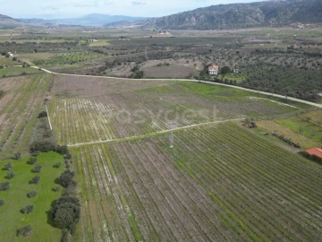 Terreno para Venda em Horta da Vilariça