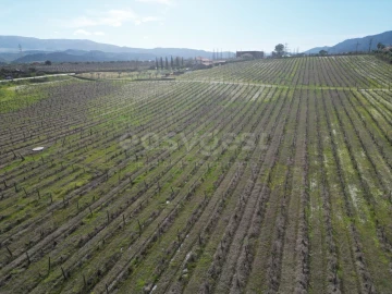 Terreno para Venda em Horta da Vilariça