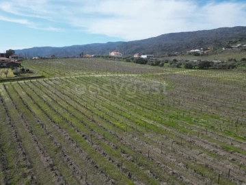 Terreno para Venda em Horta da Vilariça