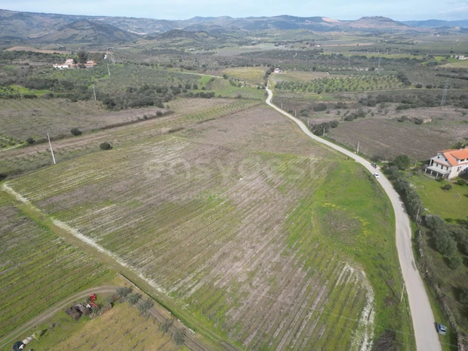 Terreno para Venda em Horta da Vilariça Foto 6