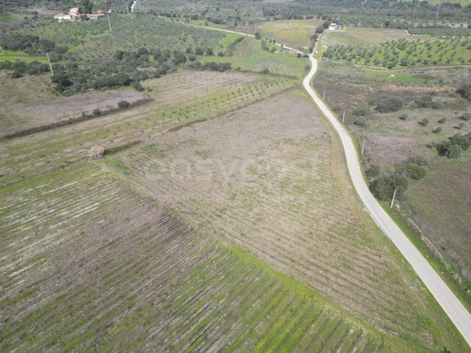 Terreno para Venda em Horta da Vilariça Foto 7