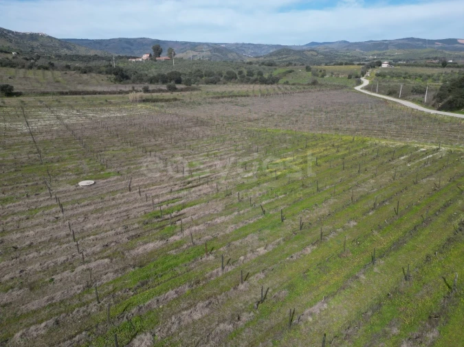 Terreno para Venda em Horta da Vilariça Foto 11