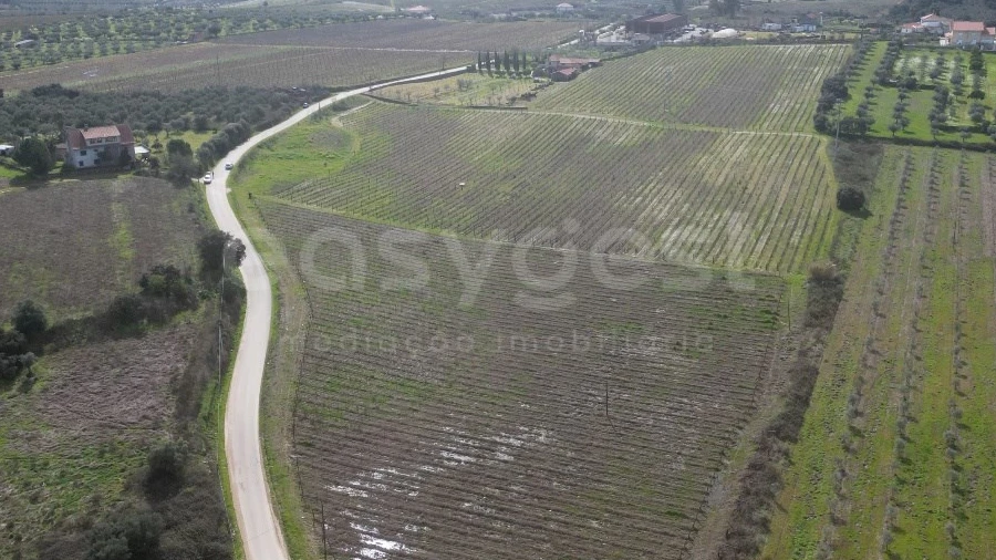 Terreno para Venda em Horta da Vilariça